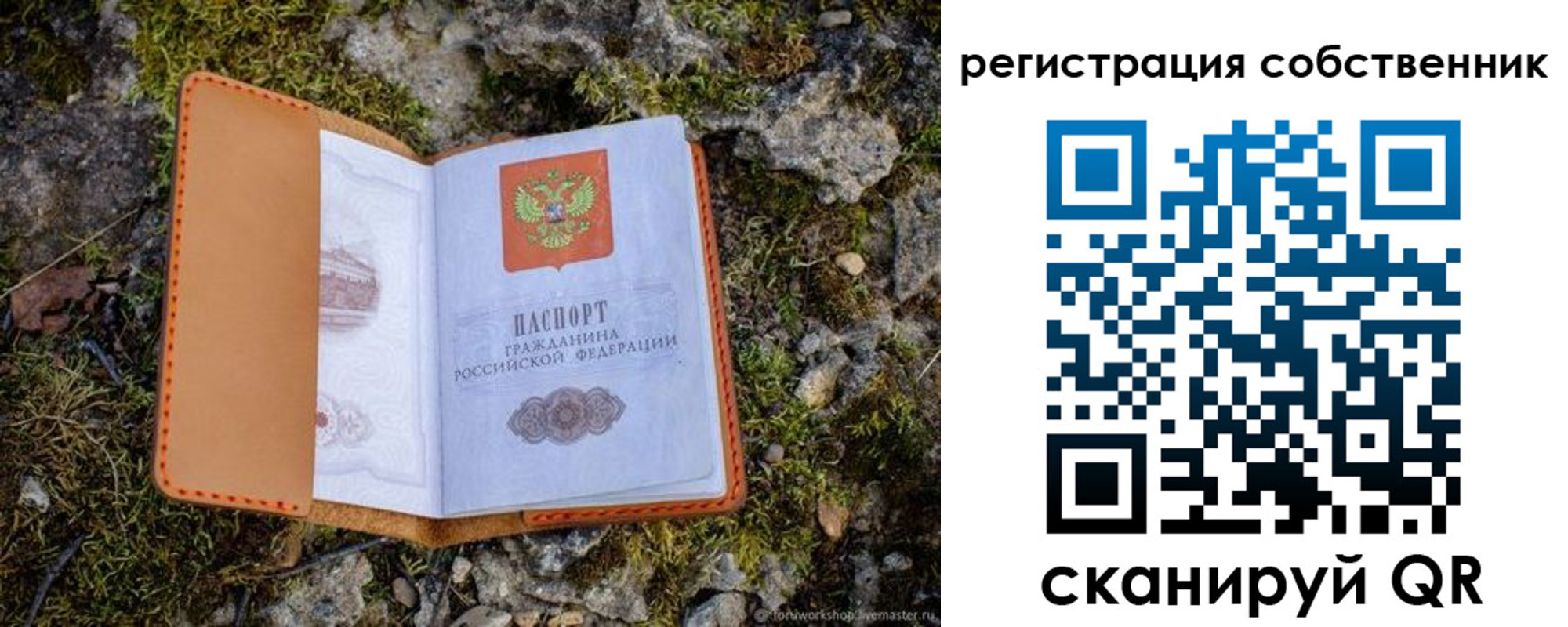 прописка поиск в Светлогорске