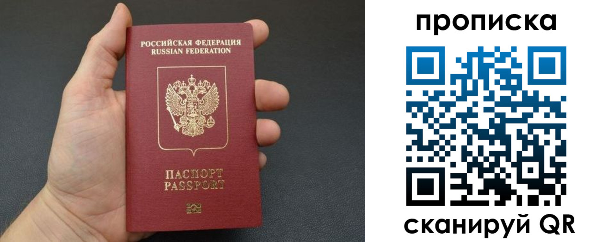 купить прописку в Светлогорске
